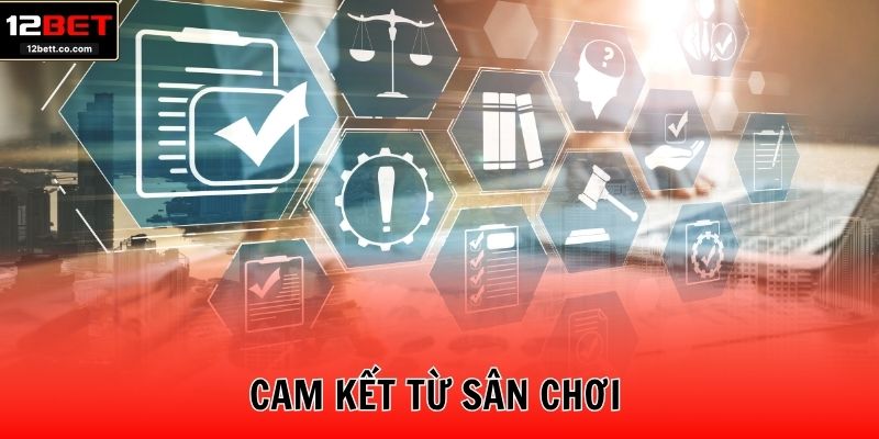Cam kết từ sân chơi
