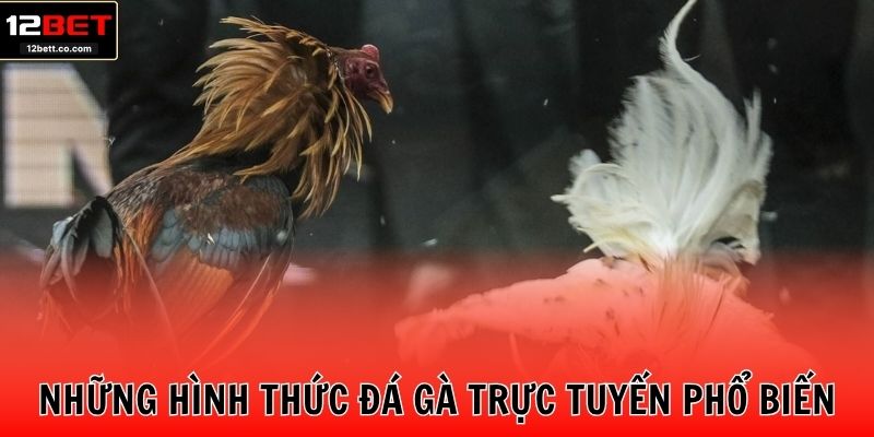 Những hình thức đá gà trực tuyến phổ biến