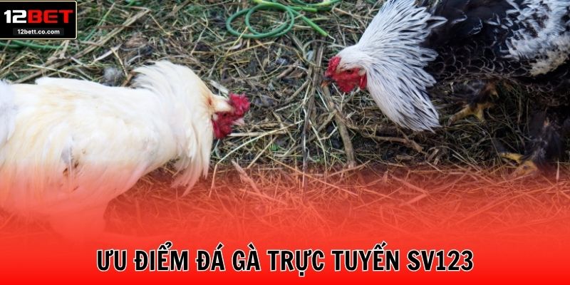 Ưu điểm đá gà trực tuyến SV123