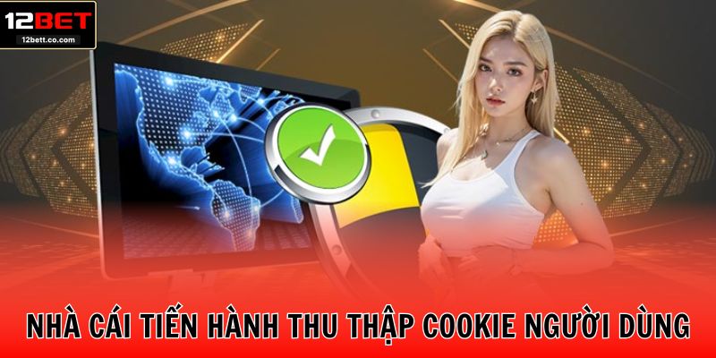 Nhà cái tiến hành thu thập cookie người dùng