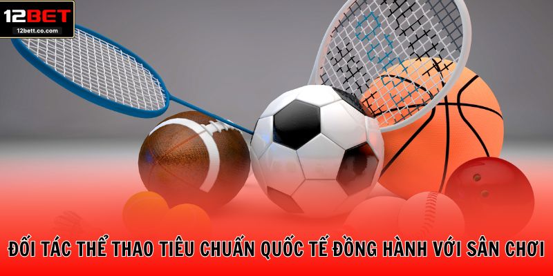 Đối tác thể thao tiêu chuẩn quốc tế đồng hành với sân chơi