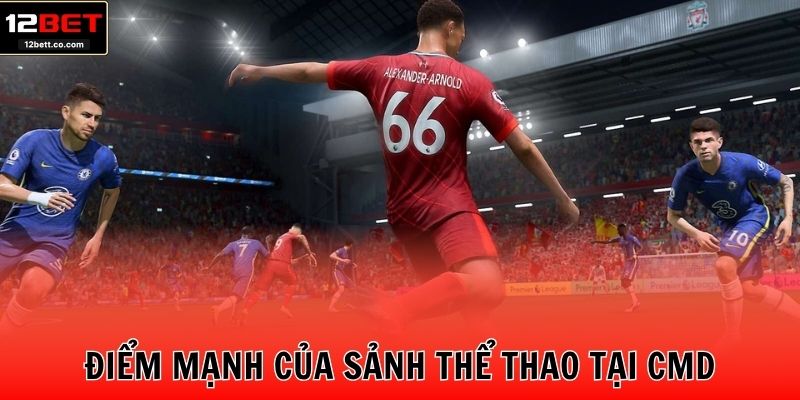 Điểm mạng của sảnh thể thao tại CMD